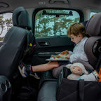 Classic Car Seat Organizer