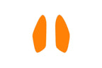 Leaves Small Earrings